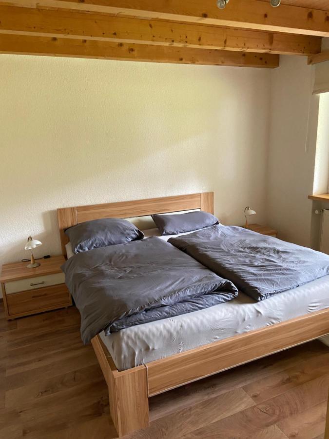 Ferienwohnung Im Herzen Graubuendens Surava Esterno foto